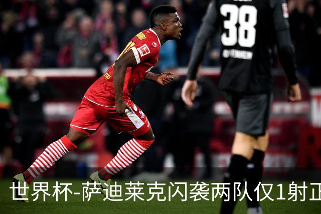 世界杯-萨迪莱克闪袭两队仅1射正 捷克半场暂1-0南非