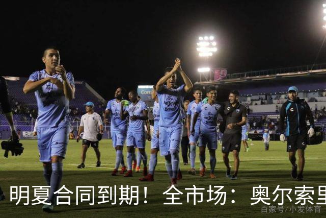 明夏合同到期！全市场：奥尔索里尼希望涨薪续约，博洛尼亚未同意